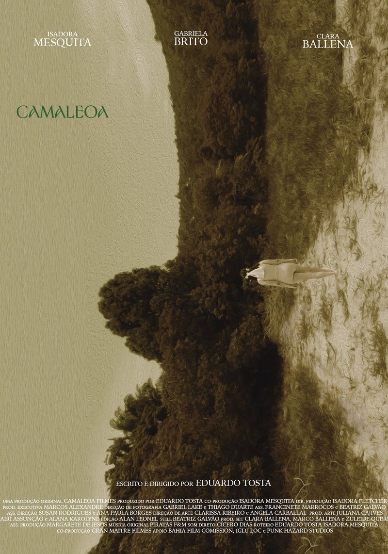 
                     
                        Camaleoa 
                    